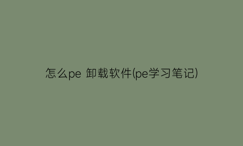 “怎么pe卸载软件(pe学习笔记)